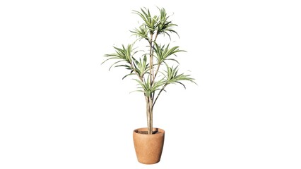 Illustration of flowers in a vase for table decoration in a room