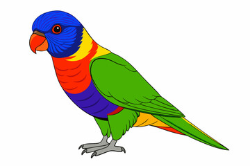 Vibrant Rainbow Lorikeet Bird Vector Illustration on White Background