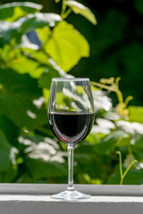 Glass of red wine on window sill with vine leaves in background