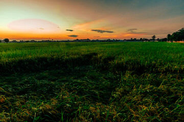 Fototapeta premium Nature Wallpaper (Mountains, Green Fields, Roadside Accommodation, Twilight Sky) The beauty of nature while traveling, with the wind blowing through the blurred leaves.