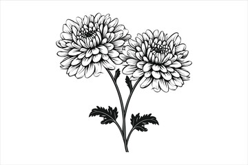 Chrysanthemum Flower Silhouette, Chrysanthemum Flower ClipArt, Flowers Silhouette, Chrysanthemum Flowers SVG