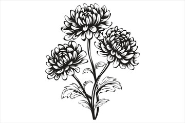 Chrysanthemum Flower Silhouette, Chrysanthemum Flower ClipArt, Flowers Silhouette, Chrysanthemum Flowers SVG