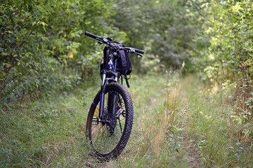 Fototapeta premium bike. transport. summer or autumn time. mountain bike. A mountain bike stands on a trail in a summer forest. cycling outdoor. concepts of sports, cycling, outdoor activities. spring park. front view