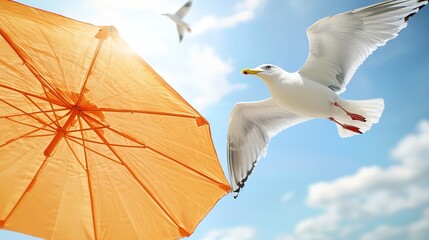  Seagull next to orange umbrella, white bird flying in blue sky background