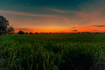Fototapeta premium Nature Wallpaper (Mountains, Green Fields, Roadside Accommodation, Twilight Sky) The beauty of nature while traveling, with the wind blowing through the blurred leaves.