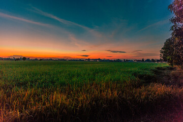 Nature Wallpaper (Mountains, Green Fields, Roadside Accommodation, Twilight Sky) The beauty of nature while traveling, with the wind blowing through the blurred leaves.