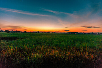 Fototapeta premium Nature Wallpaper (Mountains, Green Fields, Roadside Accommodation, Twilight Sky) The beauty of nature while traveling, with the wind blowing through the blurred leaves.