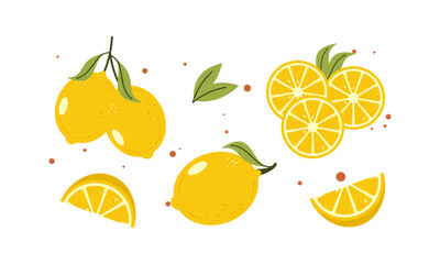 Fresh, Delicious, Juicy, and Sour Cartoon Lemons. Collection of Yellow Citrus Whole and Slices Illustration.