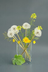 Still life with yellow wildflowers and white dandelions in a glass vase.  Japanese art of flower arrangement. Ikebana arrangement on a gray background.	