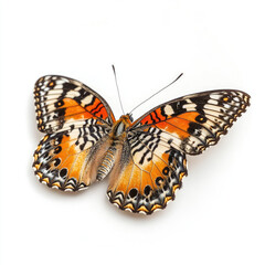 Close-up Photo of Leopard Lacewing Butterfly Showcasing Ornate Wings