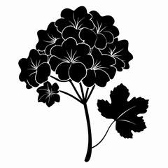 Geranium Black silhouette