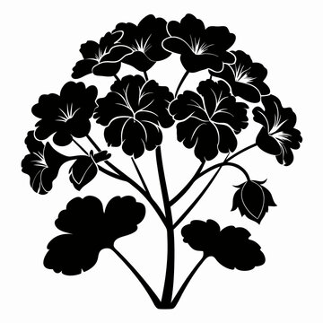 black geranium flowers silhouette on white clip art preview