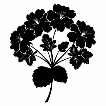 black geranium flowers silhouette on white clip art preview