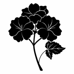 Geranium Black silhouette