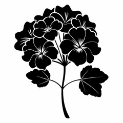 Geranium Black silhouette