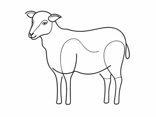continuous single line drawing of domestic sheep, line art vector illustration
