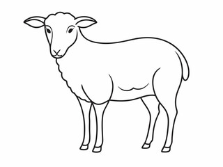 continuous single line drawing of domestic sheep, line art vector illustration
