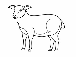 continuous single line drawing of domestic sheep, line art vector illustration
