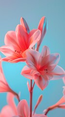 Fototapeta premium Close Up Pink Flower on Blue Background