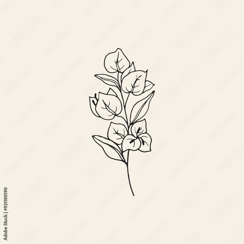 Wall mural hand drawn bougainvillea flower branch