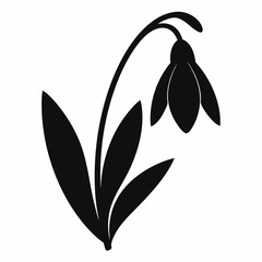 Snowdrop Black silhouette