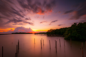 Obraz premium Coast and mangrove forest in the evening in Thailand,Tropical mangrove forest under sunlight with cloudy blue sky in phang nga bay, Thailand.