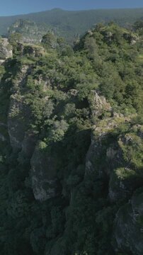 Vertical drone video. Rock formations, forested mountains and large formations. Hiking through the green forest. Hiking concept. Amatlan, Mexico
