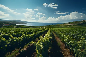 A lush green vineyard with a beautiful ocean in the background AI Generated