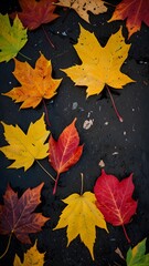 Obraz premium Autumn leaves spread on a dark asphalt surface, a contrast that makes the colors pop wallpaper background