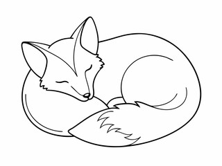 continuous single line drawing of sleeping fox, head resting on tail, line art vector illustration
