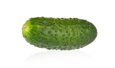 Single fresh gherkin isolated on white. Full depth of field
