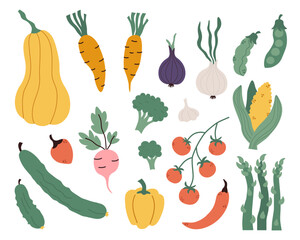 Set of colorful fresh vegetables. Vegetables vector icons. Autumn seasonal harvest.