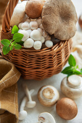 Assortment of various mushrooms