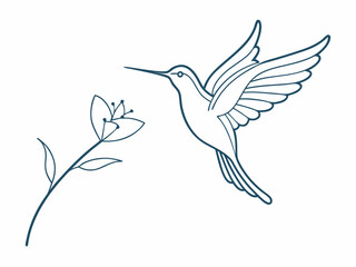 continuous single line drawing of hummingbird hovering while feeding at flower, line art vector illustration
