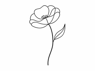 continuous single line drawing of wild flower, corn poppy line art vector illustration
