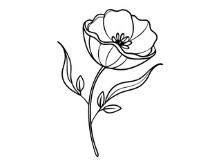 continuous single line drawing of wild flower, corn poppy line art vector illustration
