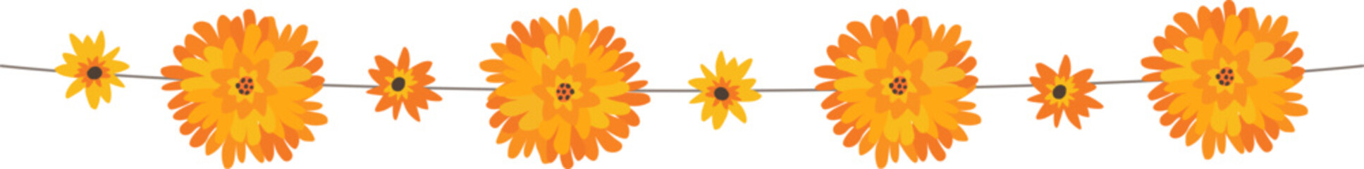 Orange yellow marigold flowers string. Indian traditional floral festive garland toran. Zendu flowers isolated on background Party decor for Halloween, Dia de los Muertos holiday. Vector illustration  © tabitazn