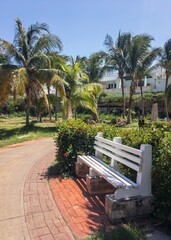 White bench in tropical resort with palm trees, vertical