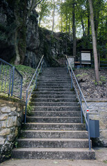 Fototapeta premium Stairs on a forest path. Forest path with stairs. Ascent, stairs made of natural materials. Ascent, path under the treetops.