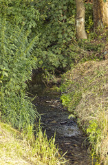 A small stream with a grassy bank. A stream flowing through the countryside. Water, stream, grass. A deep bed with a small stream. Nature.