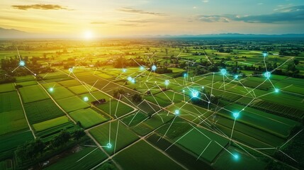 Aerial view of interconnected agricultural fields at sunset showcasing advanced technology in farming