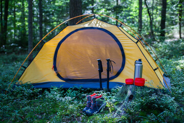 Camping in the forest. The tent is in a clearing in the forest among the trees.