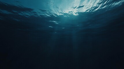 Tranquil Underwater Scene