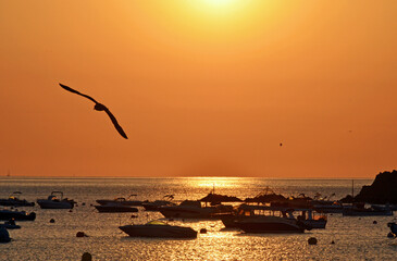 Goldenes Meer während des Sonnenuntergangs