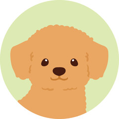 Simple and cute circle icon illustration of Chihuahua & Poodle mix