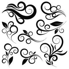 Hand drawn abstract floral branch ornament collection. Vector illustration