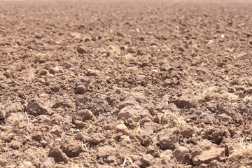 plowed field after harvest