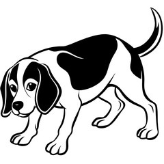 beagle crouching vector the beagle lowers illustration