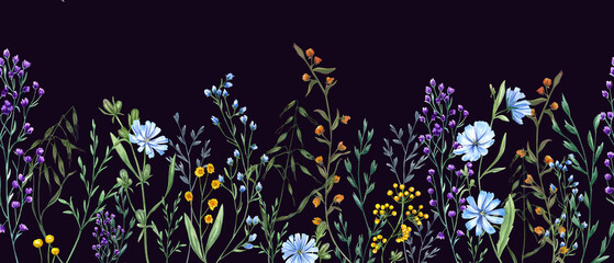 Meadow herbs and flowers. Floral seamless border. Yellow, blue flower, green grass. Spring, summer field plants. Watercolor illustration isolated on black background. For textile, banner,
