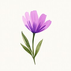 Fototapeta premium A delicate purple flower with vibrant petals and soft green leaves, perfect for adding a touch of nature to any design.